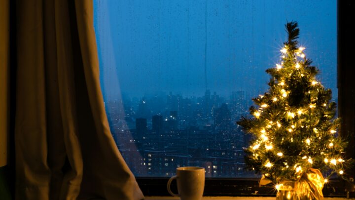 a lit christmas tree in front of a window